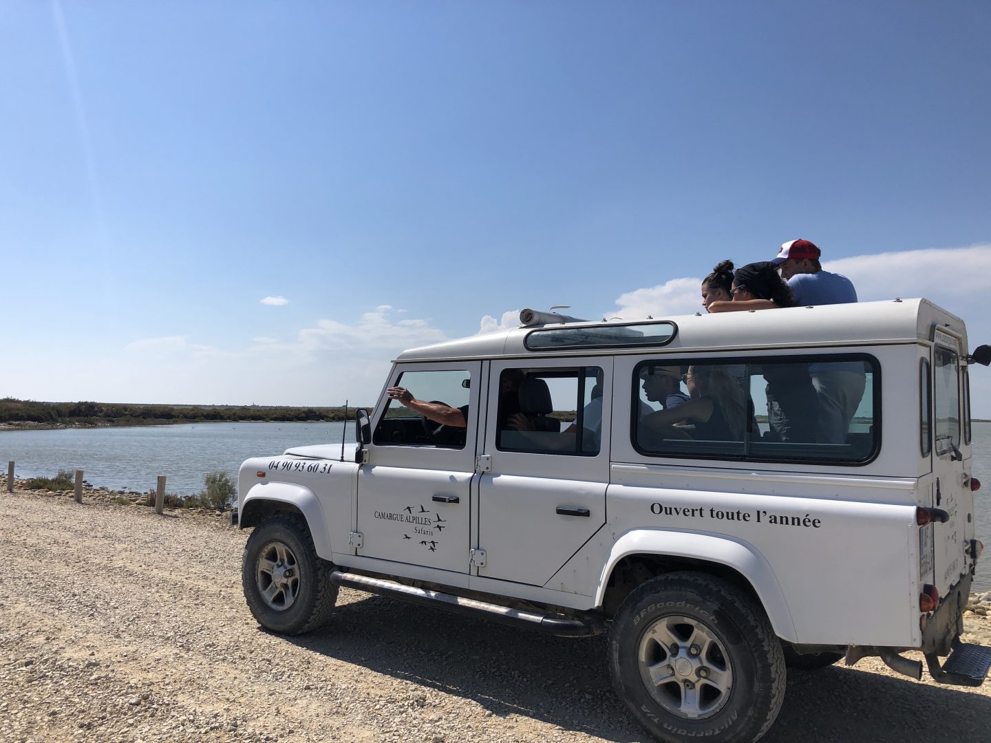 safari camargue alpilles